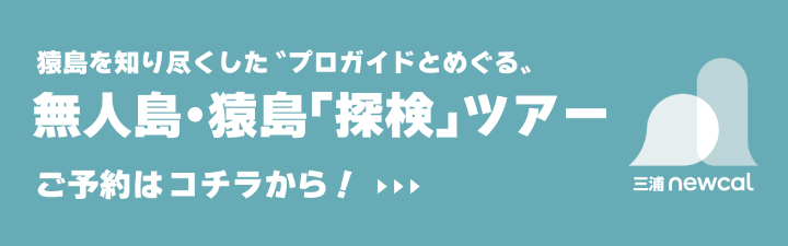 無人島・猿島「探検」ツアー