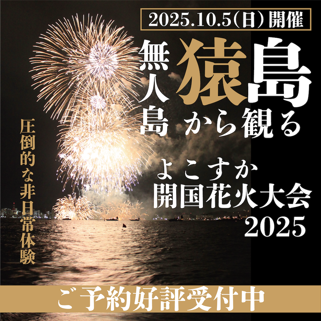 無人島猿島から観る よこすか開国花火大会2025